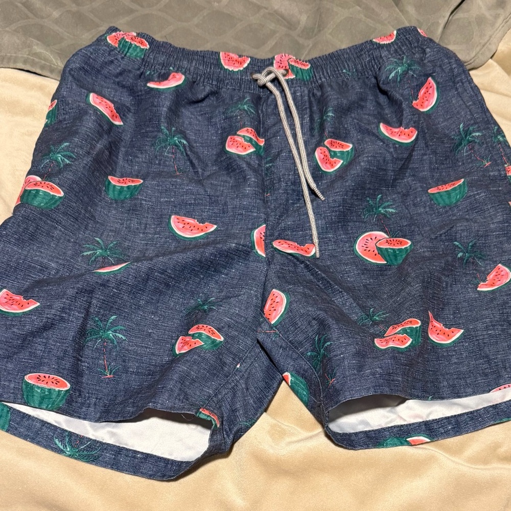 Rip Curl Watermelon and Palm Print Swim Trunks